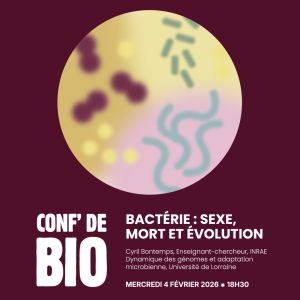 Bactérie : sexe, mort et évolution
